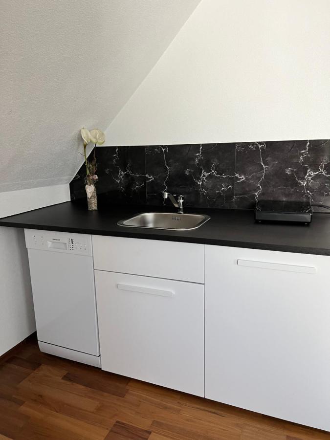 Lifestyle Apartment Sinsheim Exteriér fotografie